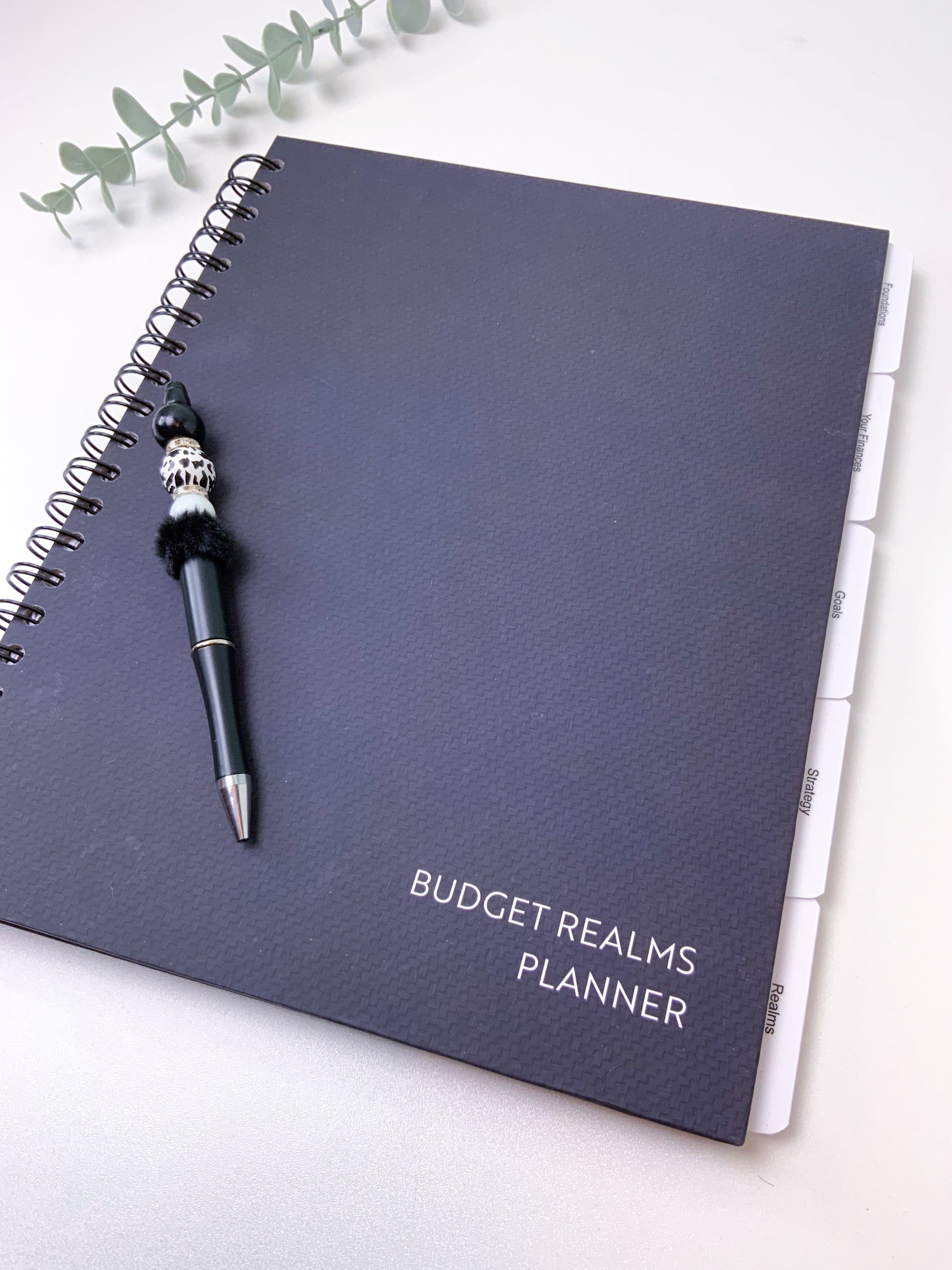 The "Realms" Budget & Personal Workbook: Your Beginner's Guide to Financial Freedom